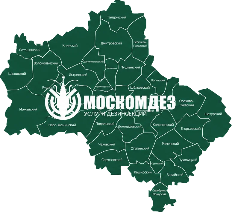 Карта выезда: Воскресенск и Московская область